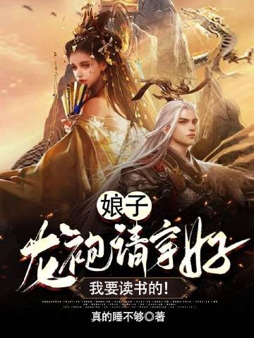 娘子,龙袍请穿好,我要读书的!