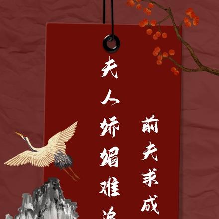 夫人娇媚难追,前夫求成亲